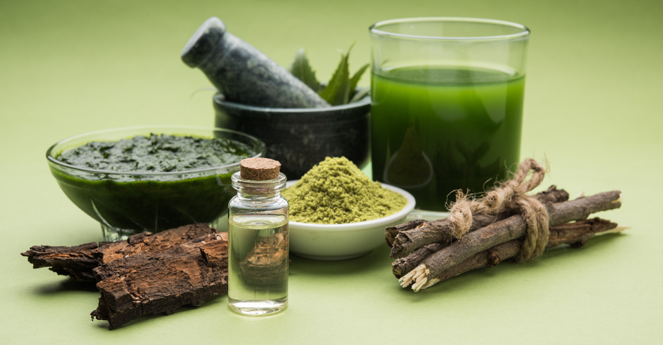 ayurvedic-medicines-herbs